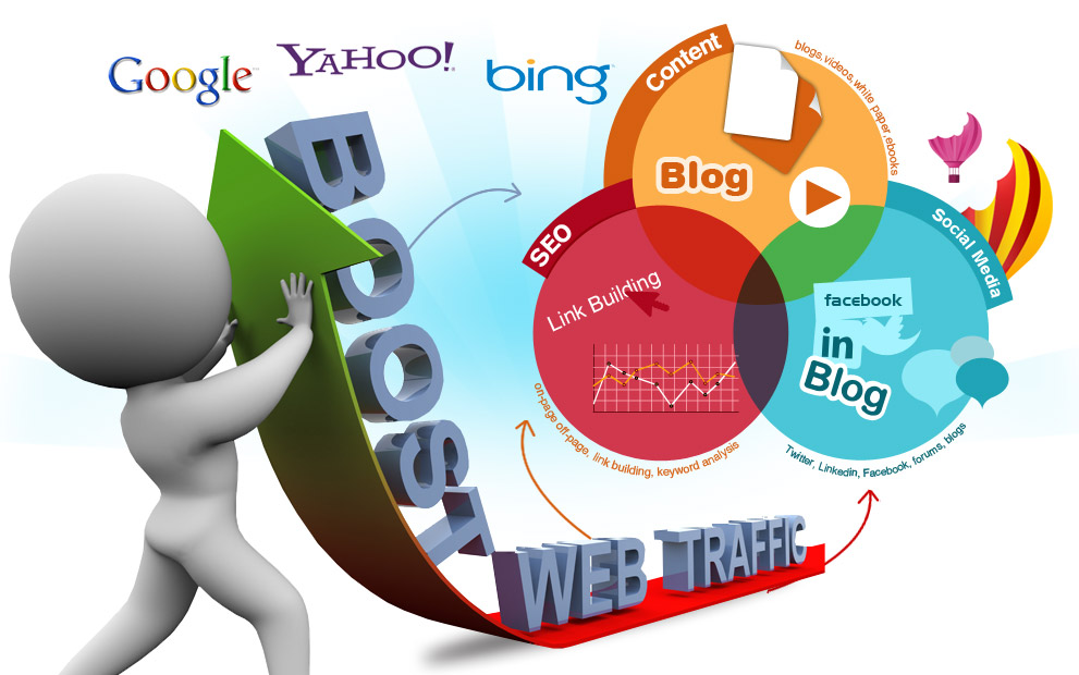 companie seo